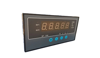 XSE单通道数显仪表